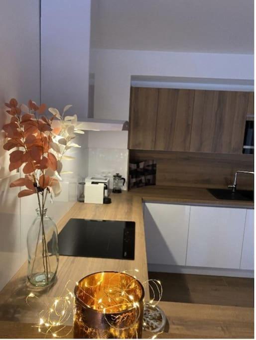 Le Doux Meleze Saint-Chaffrey Exterior foto
